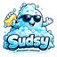 Sudsy — WhichWash AI mascot