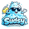 Sudsy — WhichWash AI mascot