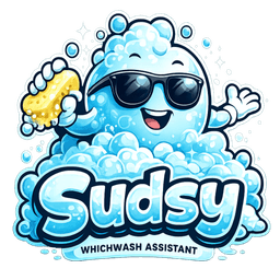 Sudsy — WhichWash AI mascot